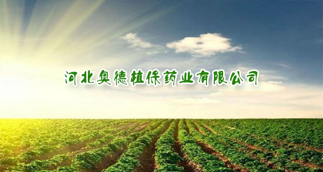 �ӱ���ҵ�ɿƼ����޹�˾